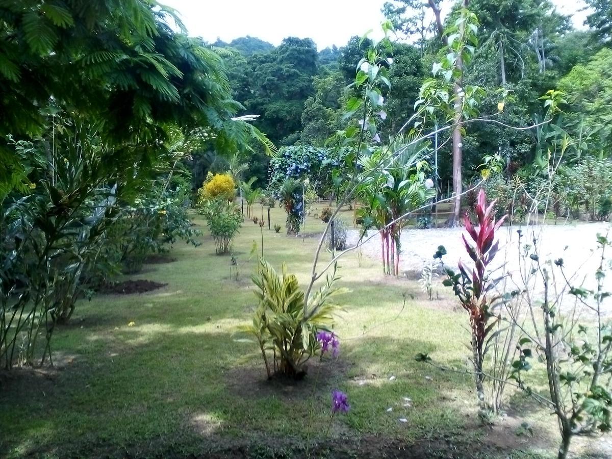 Puerto Vargas Lodge 까위따 외부 사진