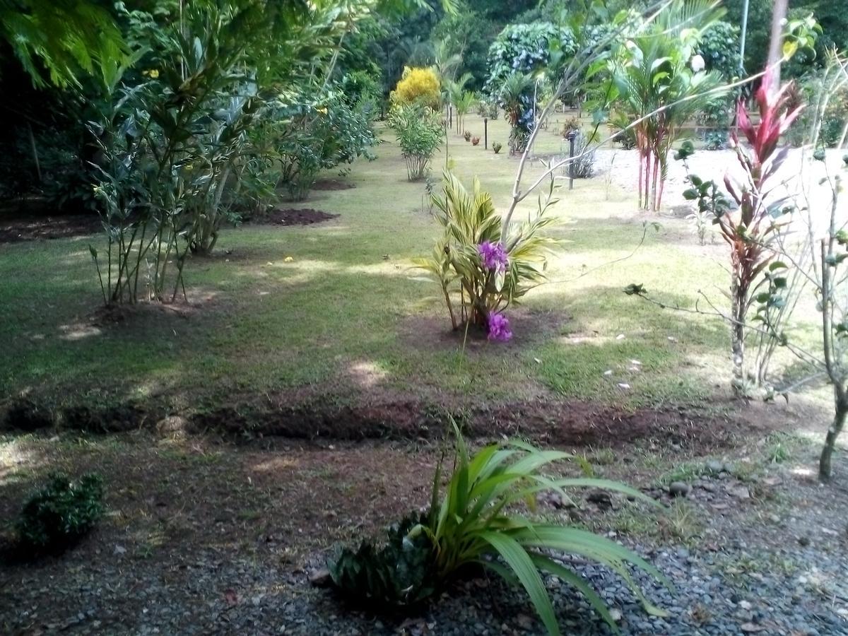 Puerto Vargas Lodge 까위따 외부 사진