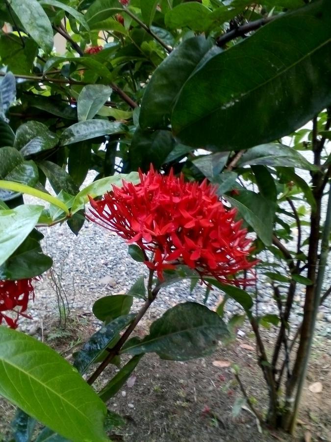 Puerto Vargas Lodge 까위따 외부 사진